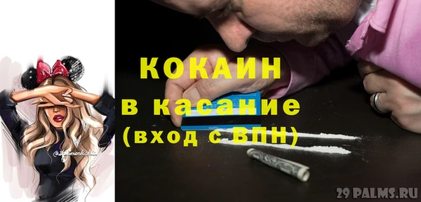 сатива Кодинск