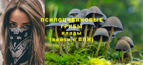 кокс Козельск