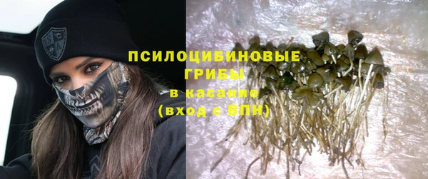 сатива Кодинск