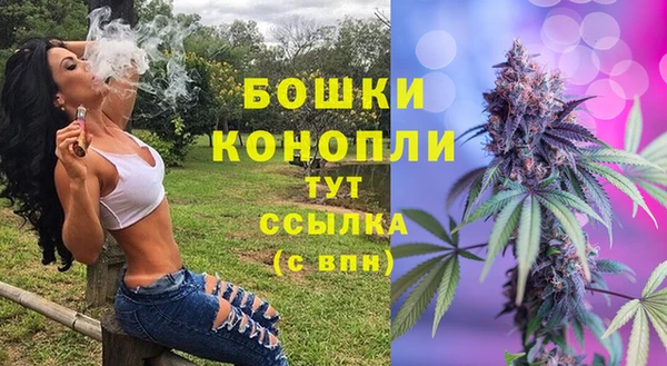 сатива Кодинск
