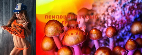 сатива Кодинск