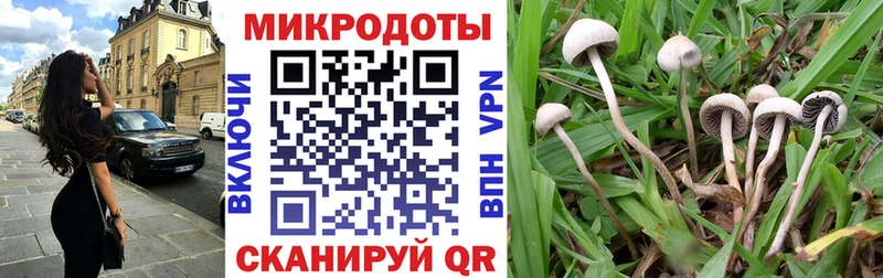 Купить  Сычёвка  Псилоцибиновые грибы прущие грибы 